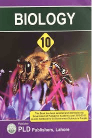 Biology 10th